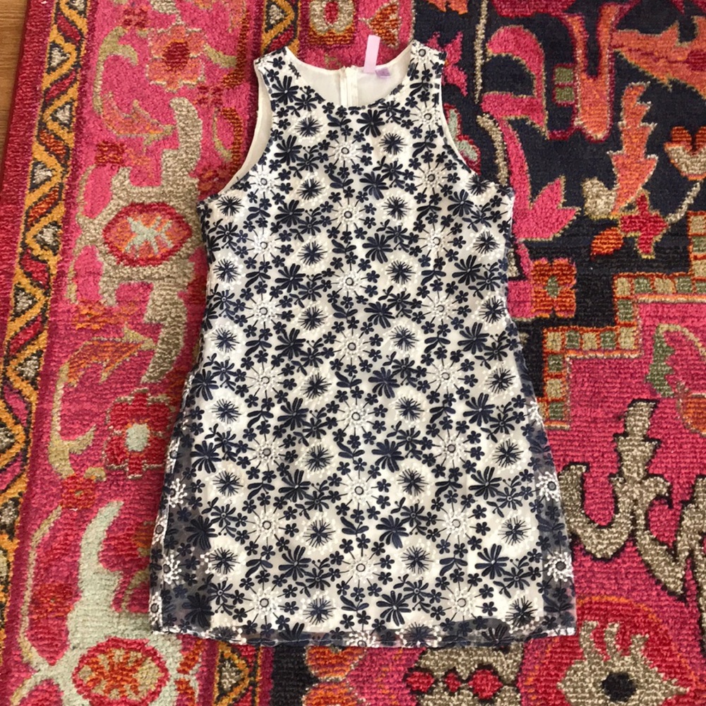Blue Embroidered White Dress
